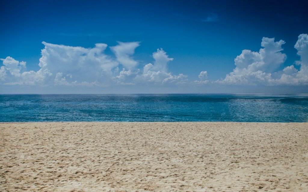 A large crowd of people standing on a sandy beach looking toward the sky