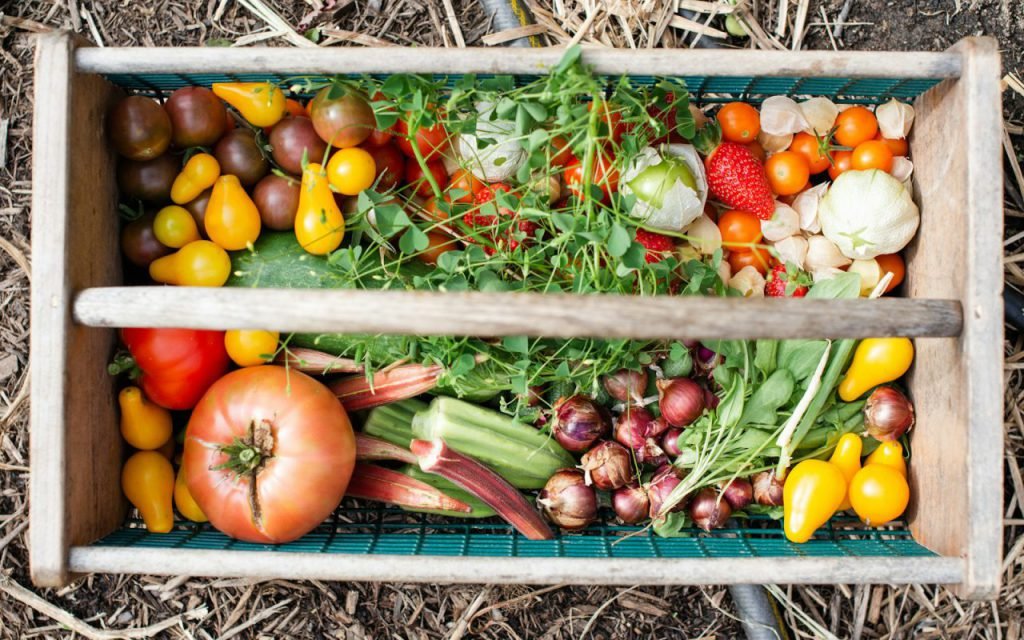 A woven basket filled with freshly harvested vegetables